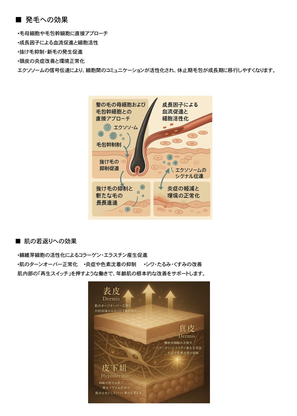 R.K エクソセラム 25 エクソソーム上精液 - 画像 (13)